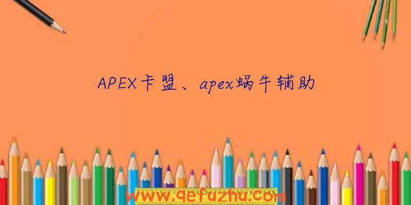 APEX卡盟、apex蜗牛辅助