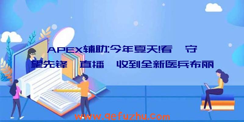 APEX辅助:今年夏天!看《守望先锋》直播,收到全新医兵布丽