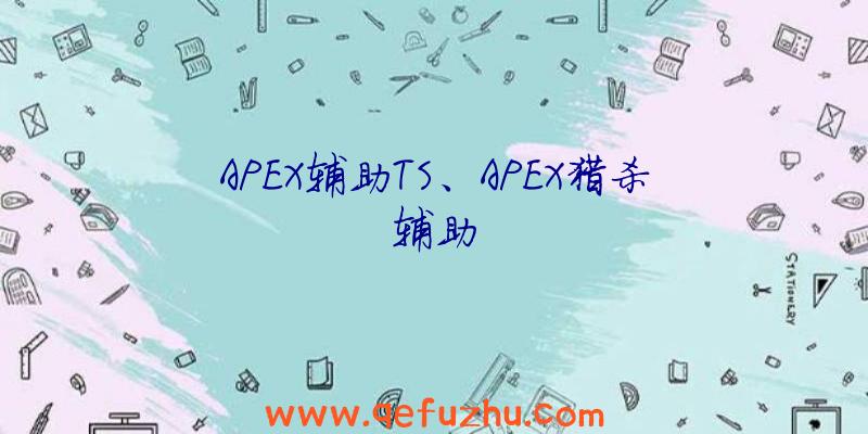 APEX辅助TS、APEX猎杀辅助