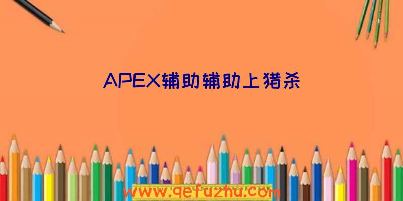 APEX辅助辅助上猎杀