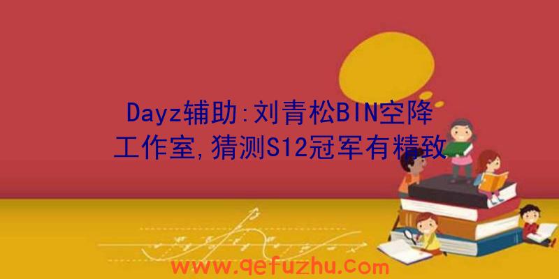 Dayz辅助:刘青松BIN空降工作室,猜测S12冠军有精致