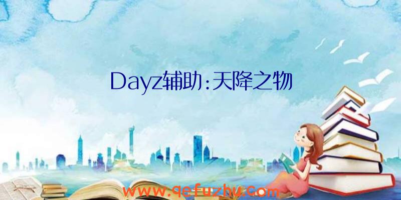 Dayz辅助:天降之物