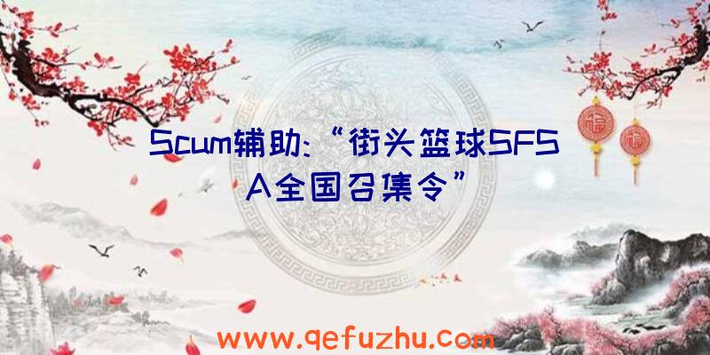 Scum辅助:“街头篮球SFSA全国召集令”