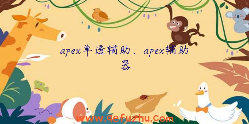 apex单透辅助、apex辅助器