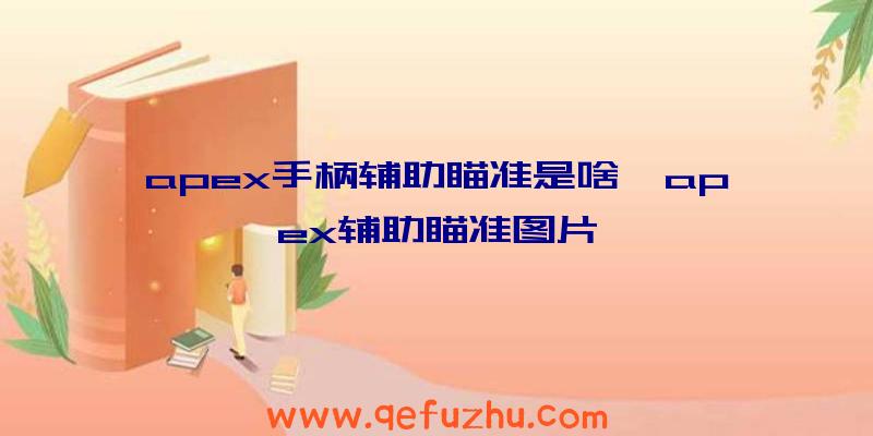 apex手柄辅助瞄准是啥、apex辅助瞄准图片