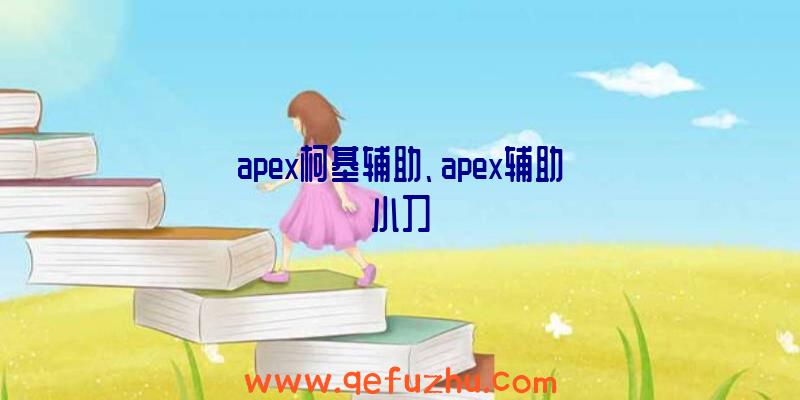 apex柯基辅助、apex辅助小刀