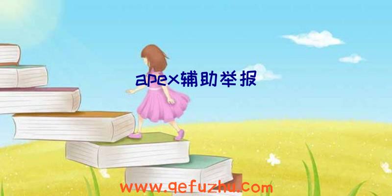 apex辅助举报