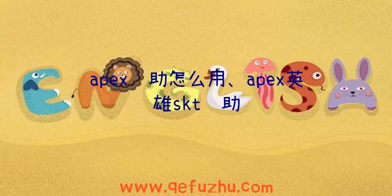 apex辅助怎么用、apex英雄skt辅助