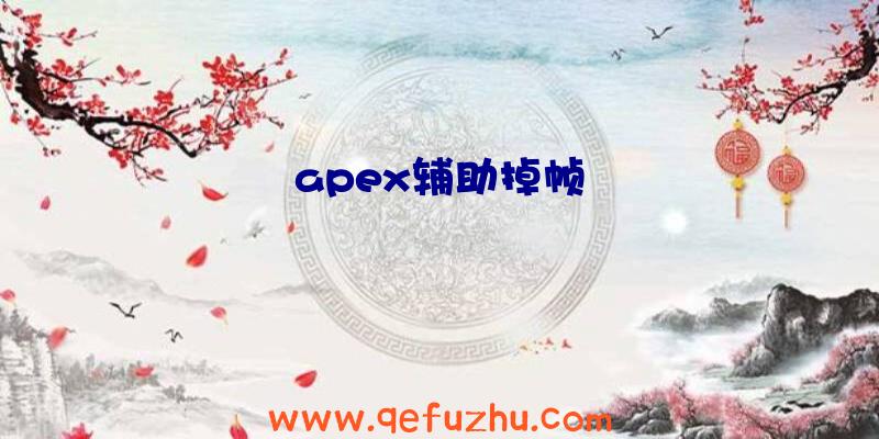 apex辅助掉帧