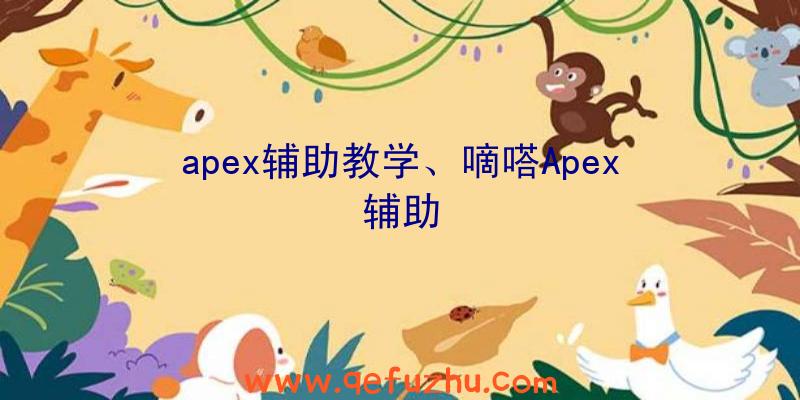 apex辅助教学、嘀嗒Apex辅助