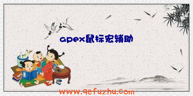 apex鼠标宏辅助