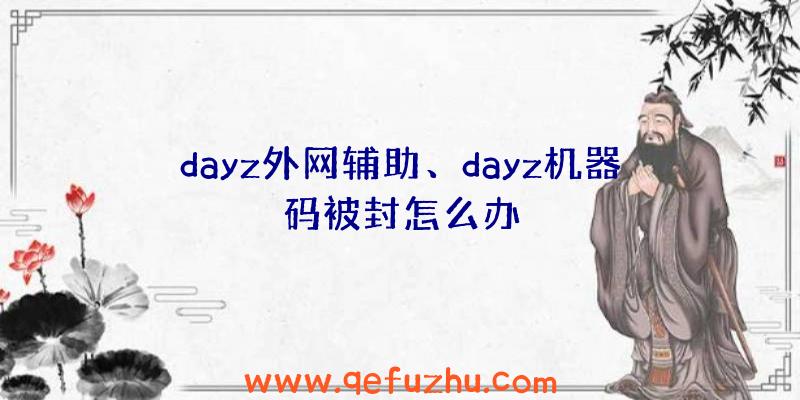 dayz外网辅助、dayz机器码被封怎么办