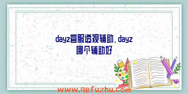 dayz官服透视辅助、dayz哪个辅助好