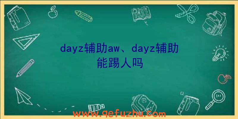 dayz辅助aw、dayz辅助能踢人吗