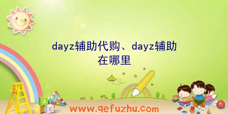 dayz辅助代购、dayz辅助在哪里