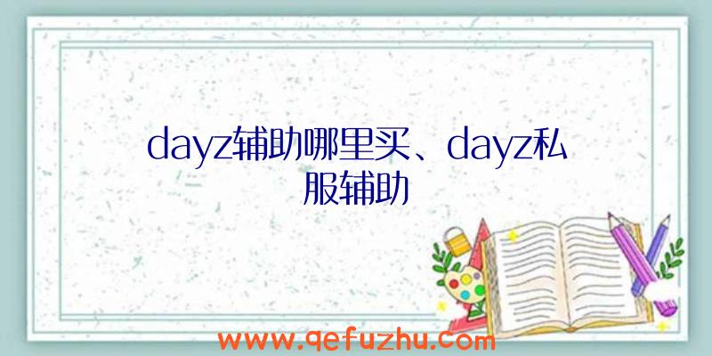 dayz辅助哪里买、dayz私服辅助