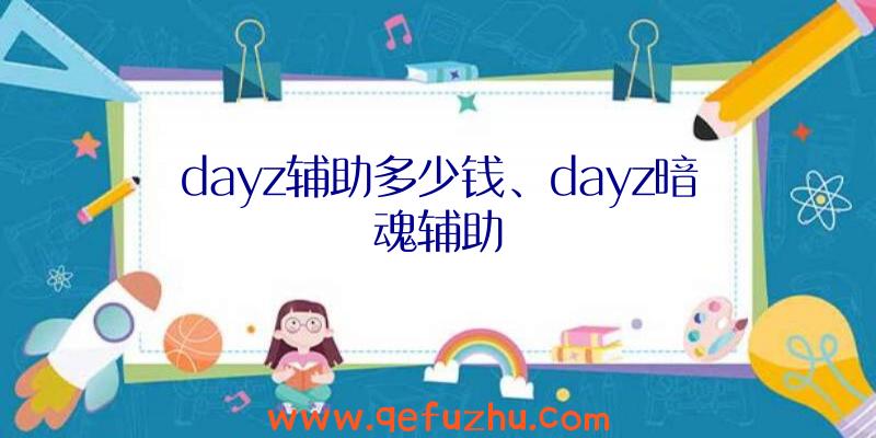 dayz辅助多少钱、dayz暗魂辅助