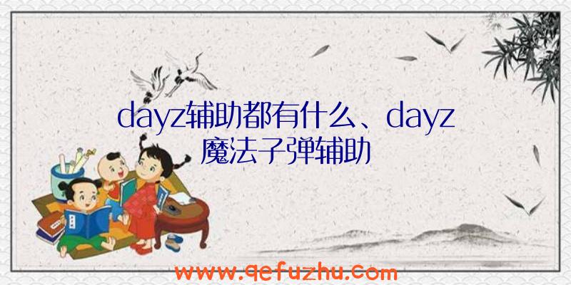 dayz辅助都有什么、dayz魔法子弹辅助