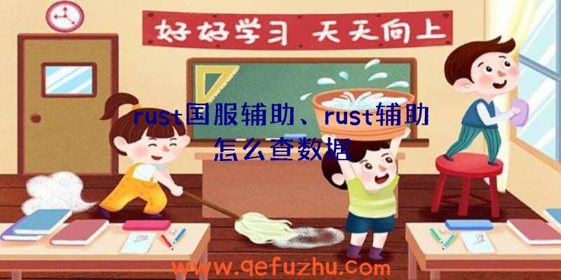 rust国服辅助、rust辅助怎么查数据