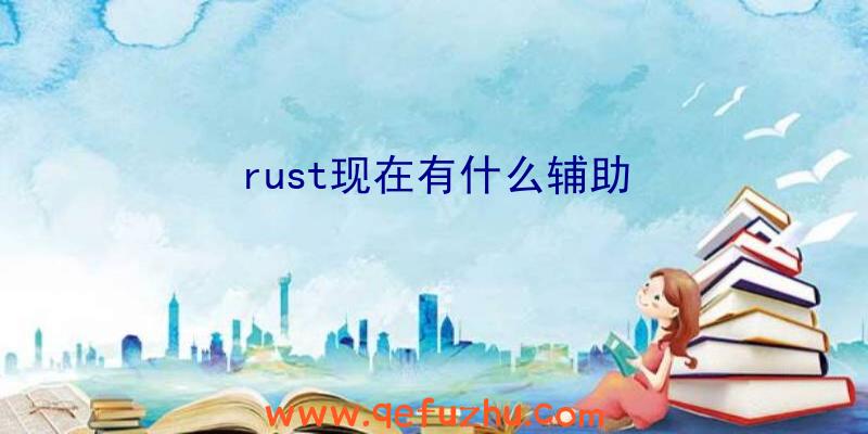 rust现在有什么辅助