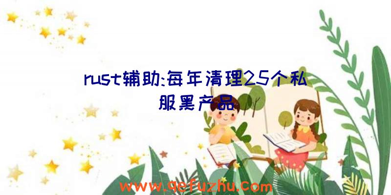 rust辅助:每年清理25个私服黑产品