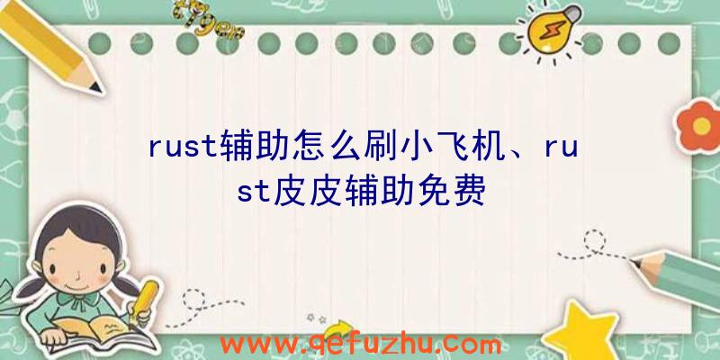 rust辅助怎么刷小飞机、rust皮皮辅助免费