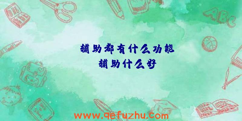 rust辅助都有什么功能、rust辅助什么好