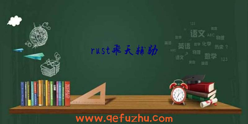 rust飞天辅助