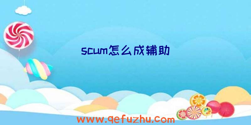 scum怎么成辅助