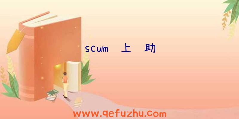 scum线上辅助