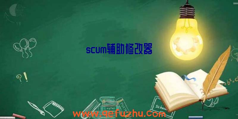 scum辅助修改器