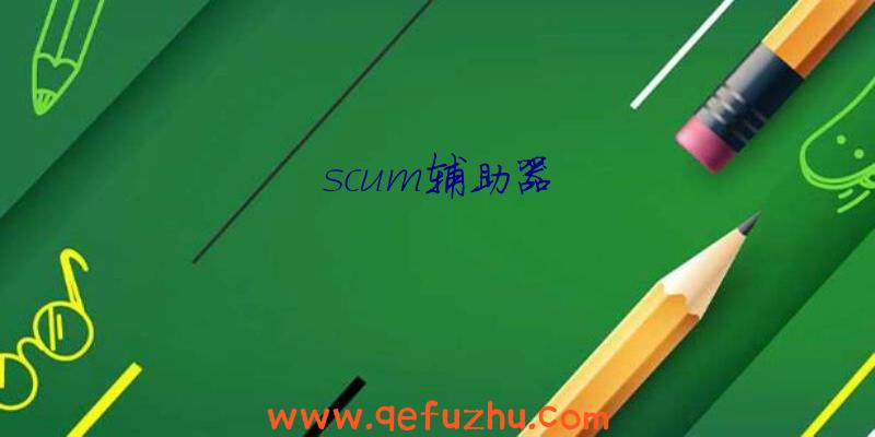 scum辅助器