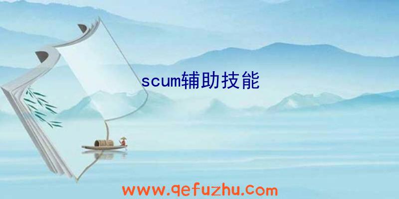 scum辅助技能