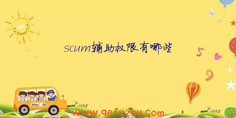 scum辅助权限有哪些