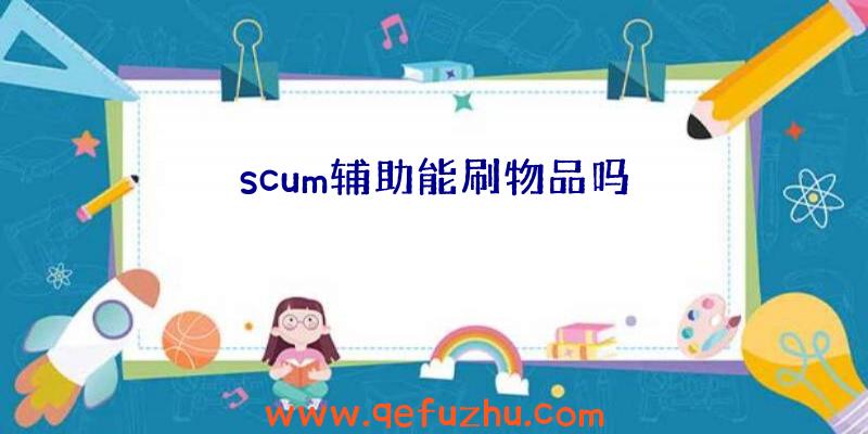 scum辅助能刷物品吗