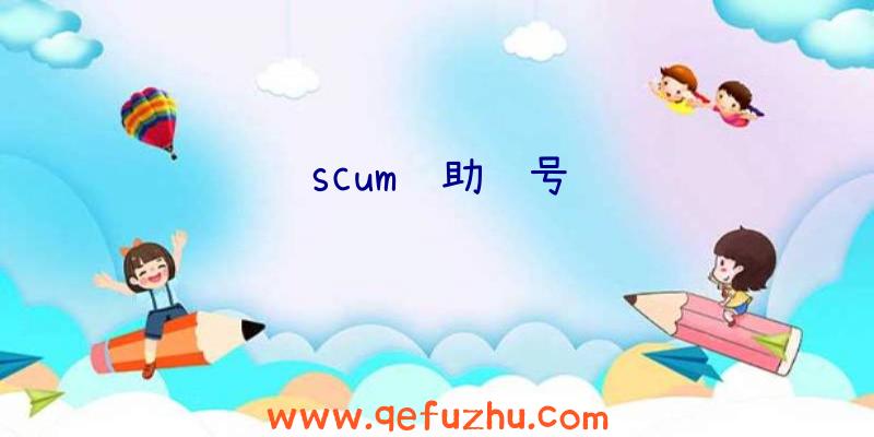 scum辅助账号