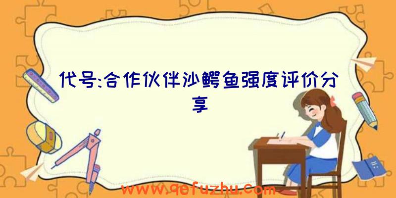 代号:合作伙伴沙鳄鱼强度评价分享