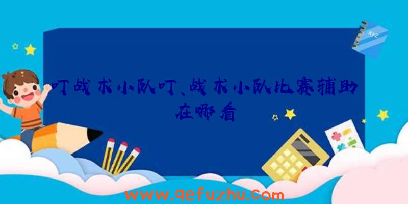 叮战术小队叮、战术小队比赛辅助在哪看