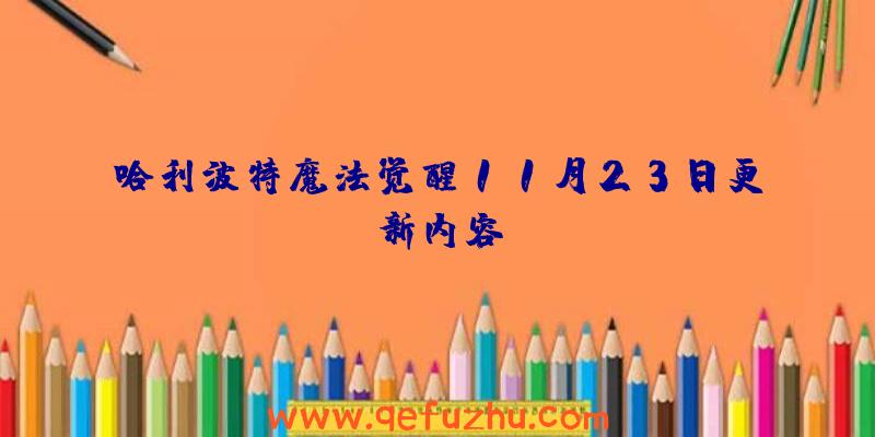 哈利波特魔法觉醒11月23日更新内容