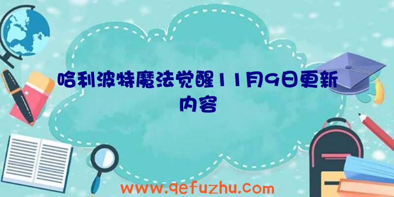 哈利波特魔法觉醒11月9日更新内容