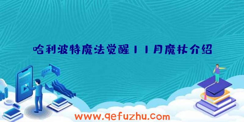 哈利波特魔法觉醒11月魔杖介绍