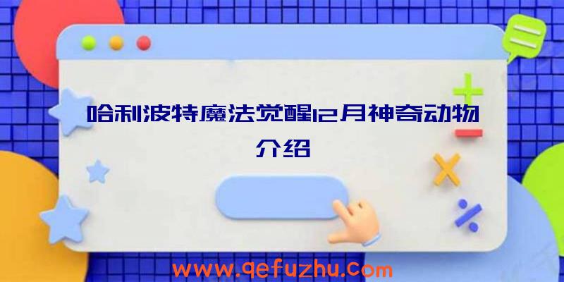 哈利波特魔法觉醒12月神奇动物介绍