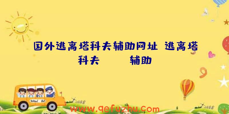 国外逃离塔科夫辅助网址、逃离塔科夫black辅助