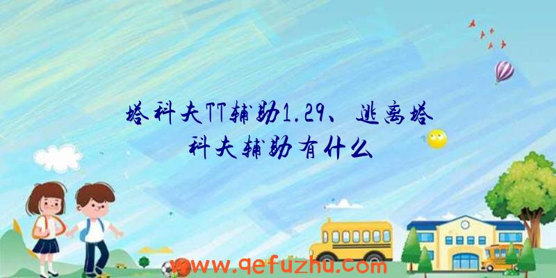 塔科夫TT辅助1.29、逃离塔科夫辅助有什么