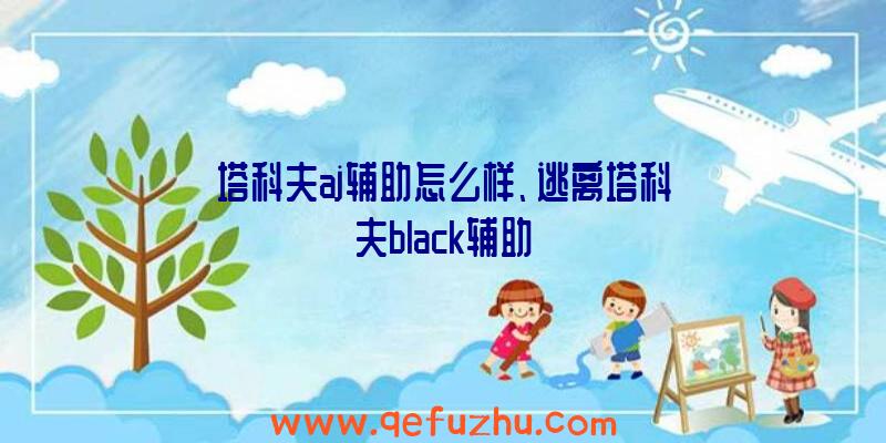 塔科夫aj辅助怎么样、逃离塔科夫black辅助