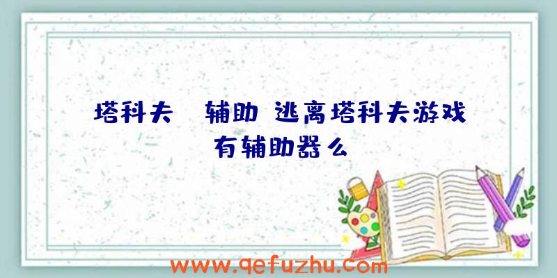 塔科夫jx辅助、逃离塔科夫游戏有辅助器么