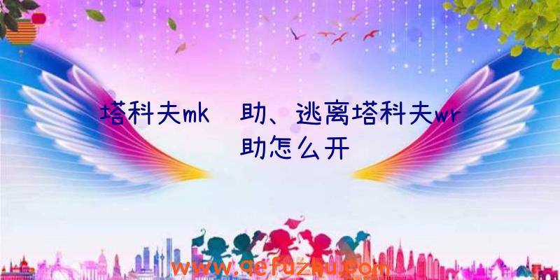 塔科夫mk辅助、逃离塔科夫wr辅助怎么开