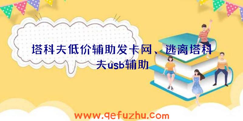 塔科夫低价辅助发卡网、逃离塔科夫usb辅助