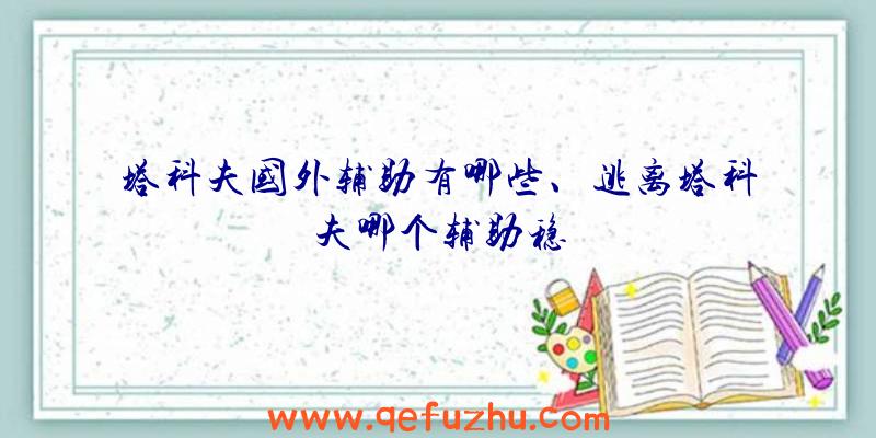 塔科夫国外辅助有哪些、逃离塔科夫哪个辅助稳