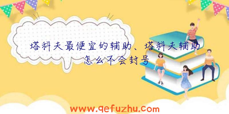 塔科夫最便宜的辅助、塔科夫辅助怎么不会封号